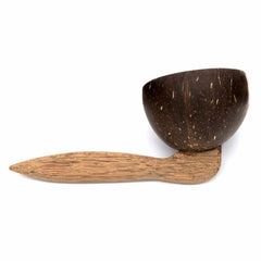 Coconut Scoop-Siesta Crafts