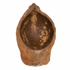 Coconut Husk Dish-Siesta Crafts