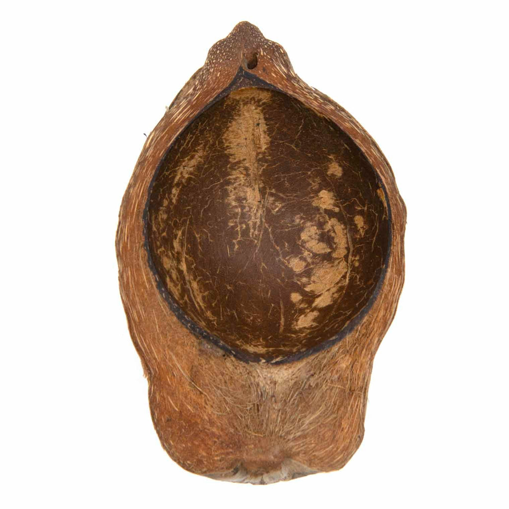 Coconut Husk Dish-Bathroom-Siesta Crafts