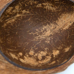 Coconut Husk Dish-Siesta Crafts