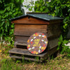 Bees Plaque-Siesta Crafts