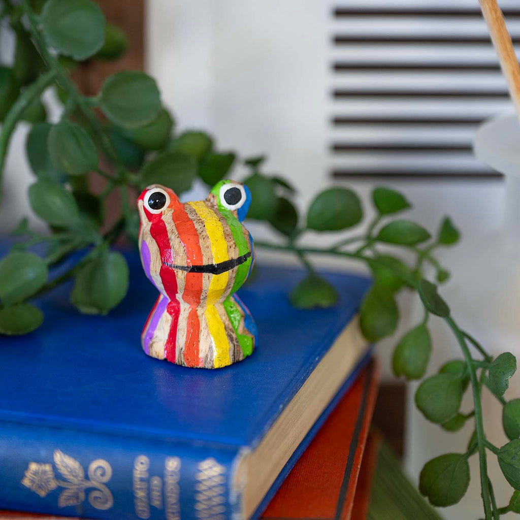 Stripy Pocket Frog-Siesta Crafts