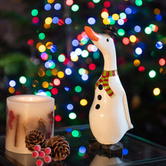 Snowman Duckling-Siesta Crafts
