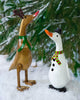 Reindeer Duck-Siesta Crafts