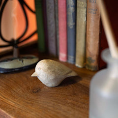 Mini Bird Woodcarving