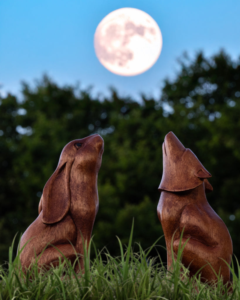 Moon Gazing Hare Woodcarving - Large-Siesta Crafts