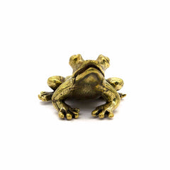 Mini Brass Frog-Siesta Crafts