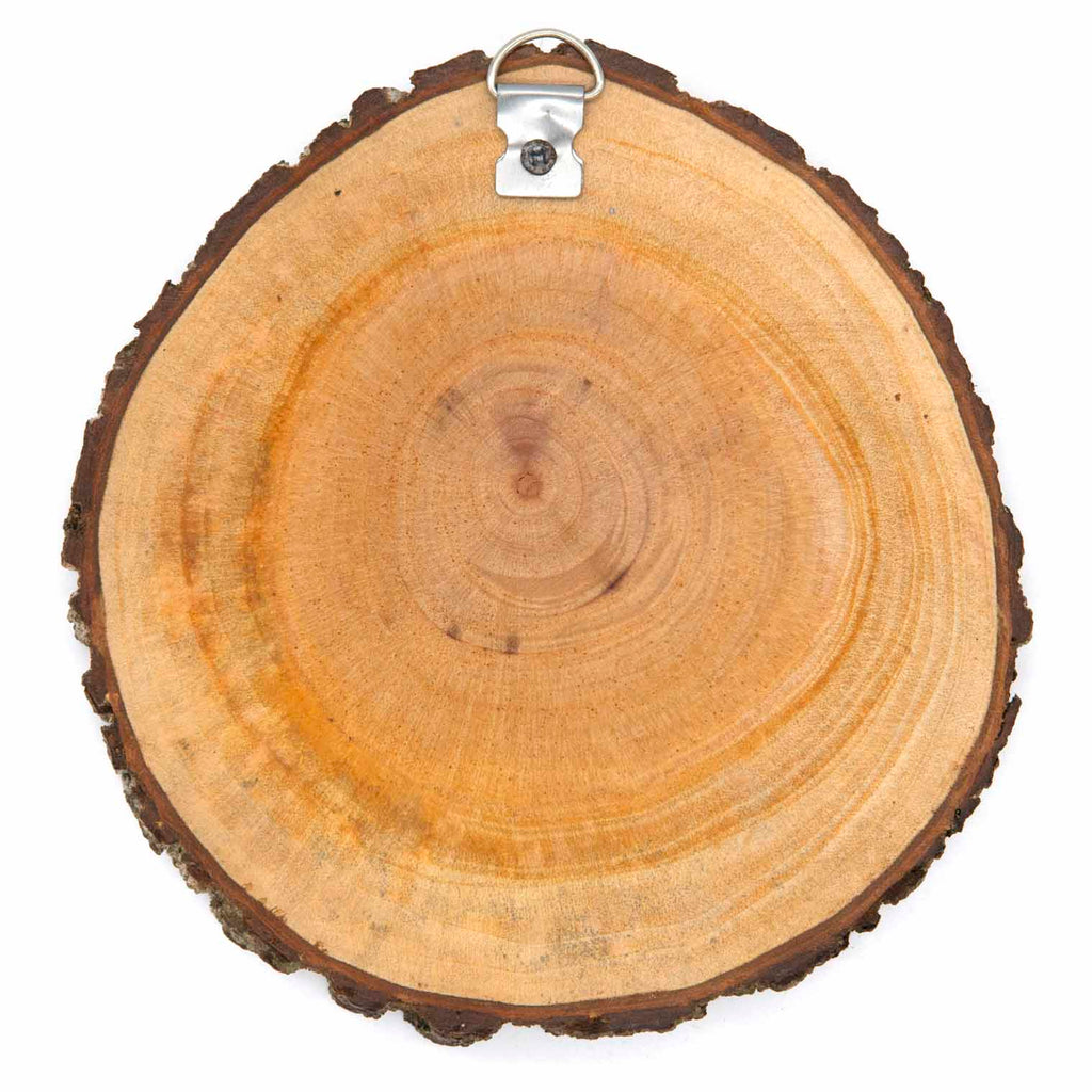Beehive Plaque-Siesta Crafts