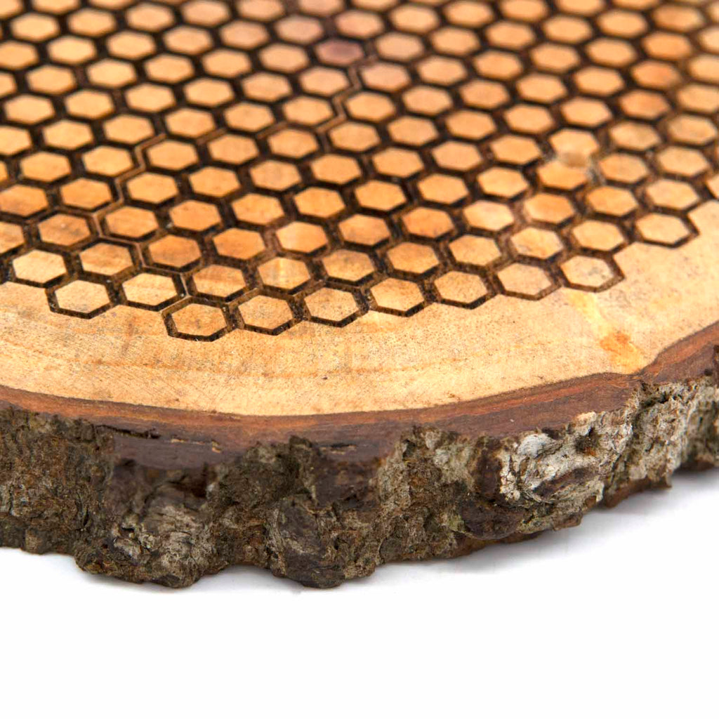 Beehive Plaque-Siesta Crafts