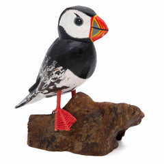 Puffin on Driftwood