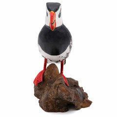 Puffin on Driftwood