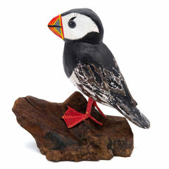 Puffin on Driftwood