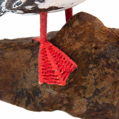 Puffin on Driftwood