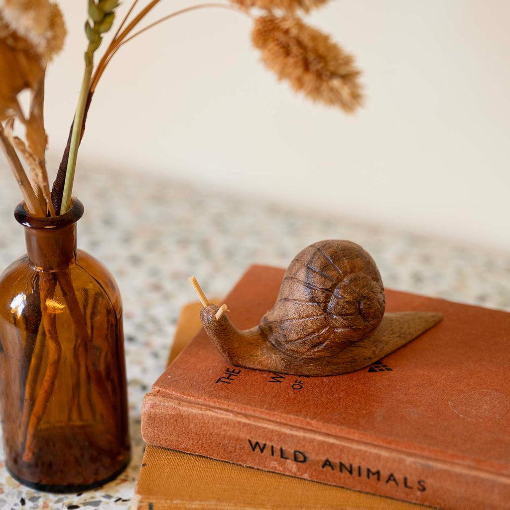 Snail Carving Small