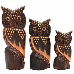 Set of Three Owls on a Branch - Brown