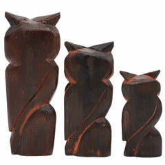 Set of Three Owls on a Branch - Brown