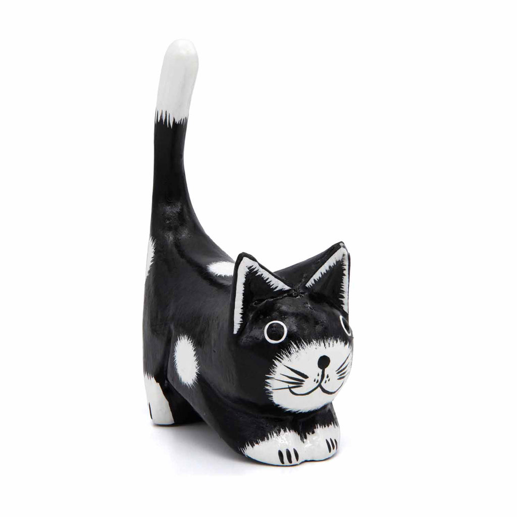 Black Cat with White Spots