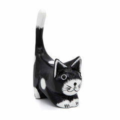 Black Cat with White Spots