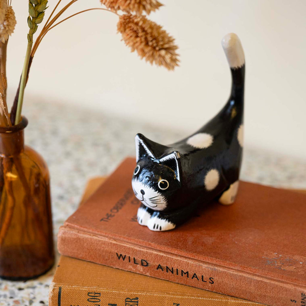 Black Cat with White Spots