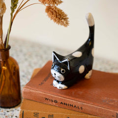Black Cat with White Spots