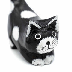 Black Cat with White Spots