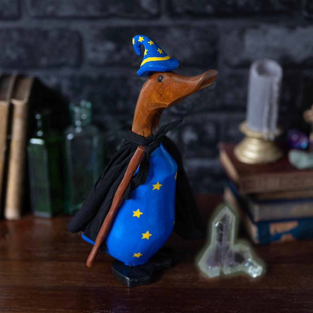 Wizard Duckling