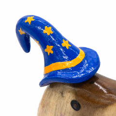 Wizard Duckling