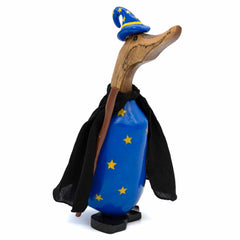 Wizard Duckling