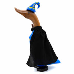 Wizard Duckling