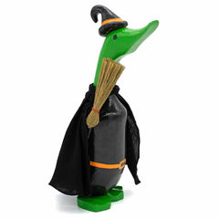 Witch Duckling