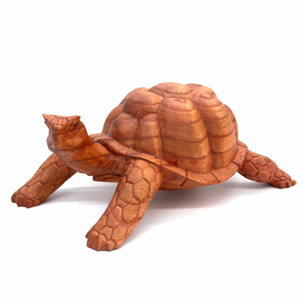 Carved Tortoise - Medium-Siesta Crafts