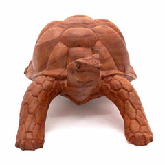 Carved Tortoise - Medium-Siesta Crafts