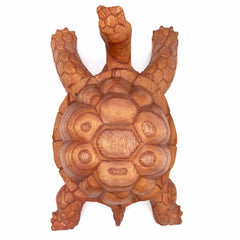 Carved Tortoise - Medium-Siesta Crafts