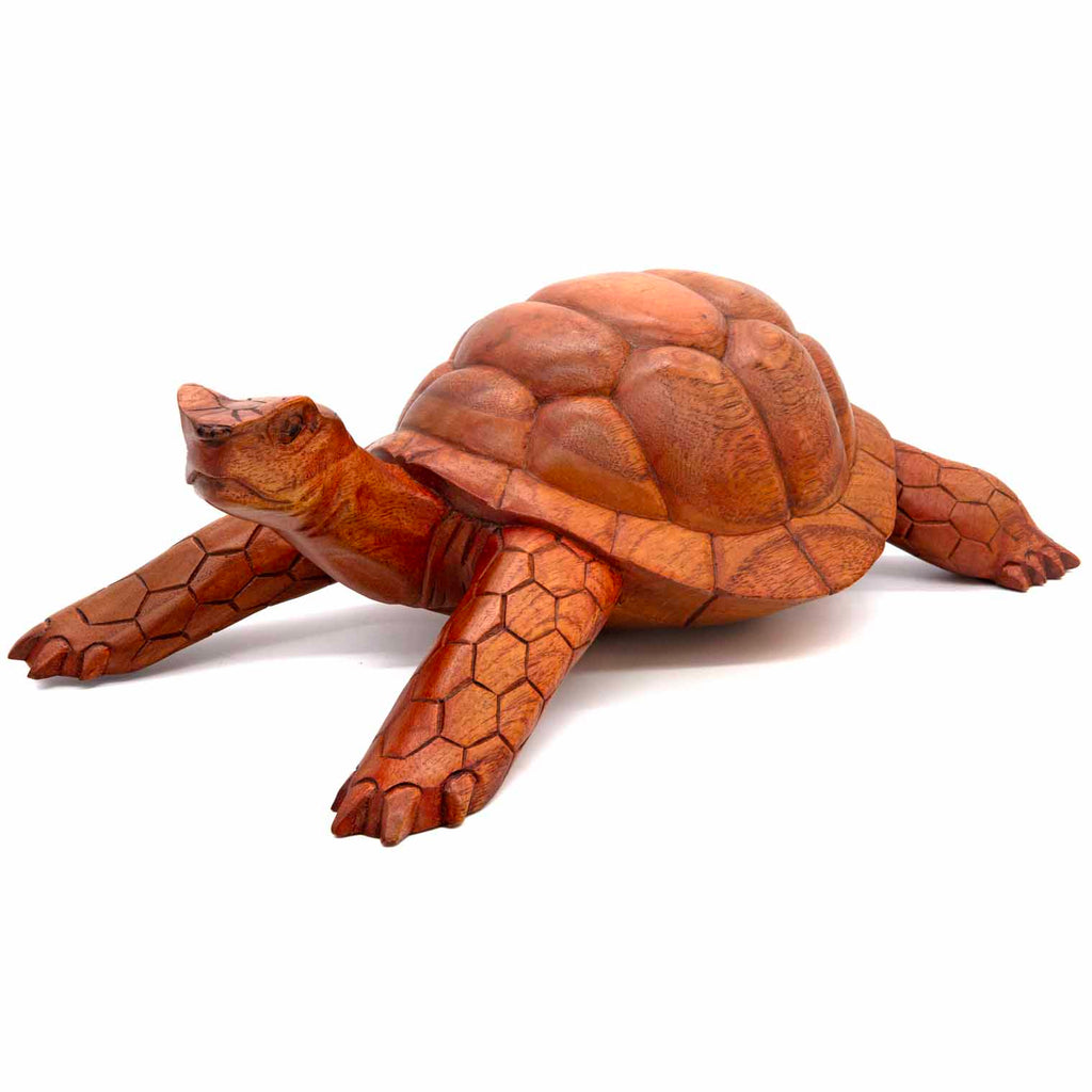 Carved Tortoise - Large-Siesta Crafts