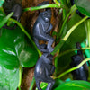 Wooden Hanging Monkey Chain Carving-Siesta Crafts