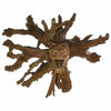 Carved Lion Head In Roots-Siesta Crafts
