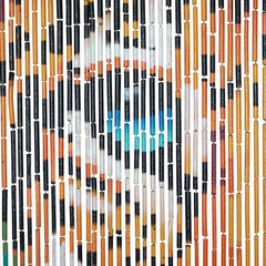 Bamboo Bead Curtain - Tiger-Siesta Crafts