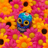 Mexican Painted Skull Mini-Siesta Crafts