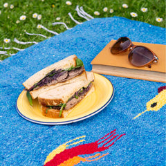 Mexican Bird Blanket-Siesta Crafts