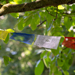Budget Prayer Flags