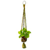 Recycled Sari Plant Hanger Small-Siesta Crafts