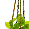 Recycled Sari Plant Hanger Small-Siesta Crafts