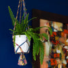 Recycled Sari Plant Hanger Small-Siesta Crafts