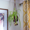 Recycled Sari Plant Hanger Small-Siesta Crafts