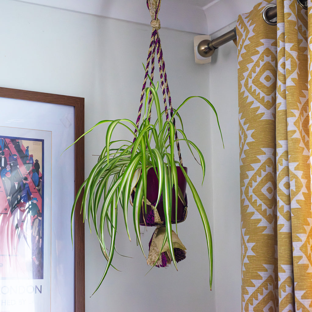 Recycled Sari Plant Hanger Small-Siesta Crafts