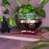 Mustang Black Singing Bowl-Siesta Crafts