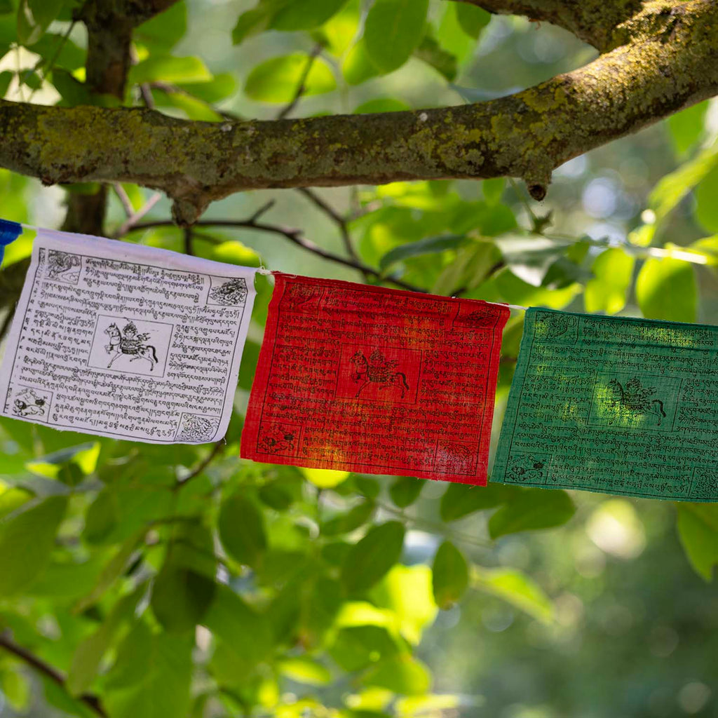 Fair Trade Prayer Flags - Large
