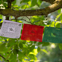 Fair Trade Prayer Flags - Large