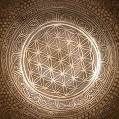 Flower of Life and Conch Etched Singing Bowl No.17-Siesta Crafts