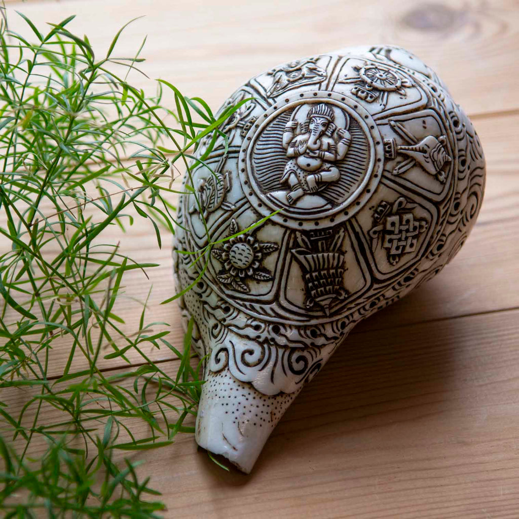 Etched Conch Shell - Ganesh-Siesta Crafts